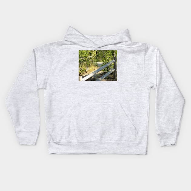 White Mountains, Lower Falls, Kancamangus Highway,New Hampshire, US Kids Hoodie by allthumbs